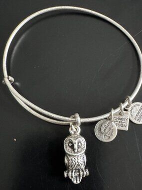 Alex And Ani ~ Ode To The Owl Bracelet